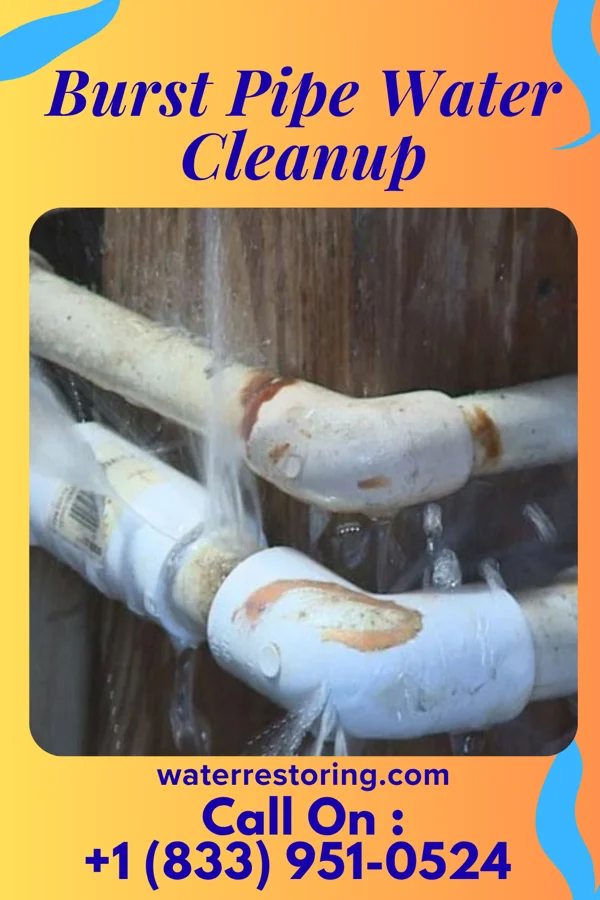 Burst Pipe Water Cleanup in Silver City, IA