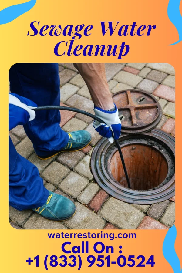 Sewage Water Cleanup in Silver City, IA